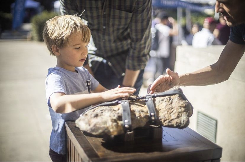 A boy touching the 32 kg Muonionalusta meteorite at UCLA