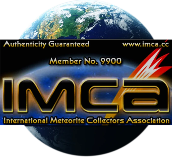 IMCA member 9900