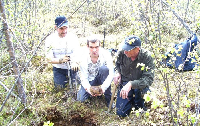 Expedition team with a Muonionalusta meteorite find in the tundra, 2010