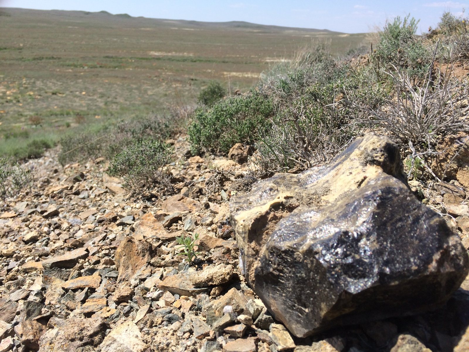 Impact melt rock lying on the ground at the Zhamanshin impact crater
