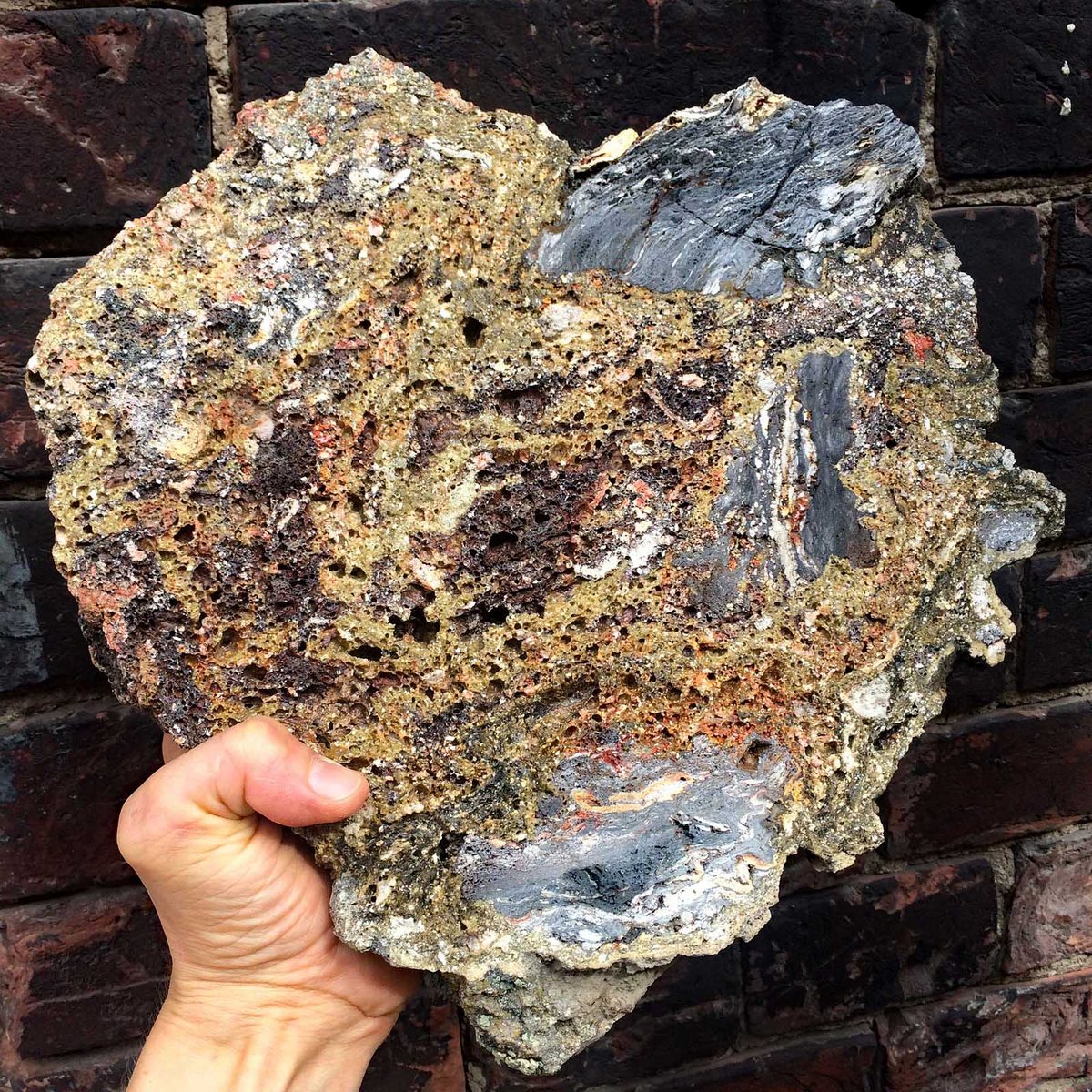 Heart-shaped slab of Zhamanshin impactite held in hand